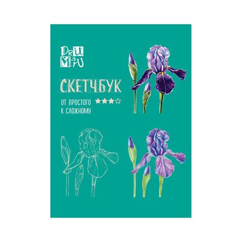 Книга Э "Скетчбук по ботанической иллюстрации" Открытый корешок купить ...