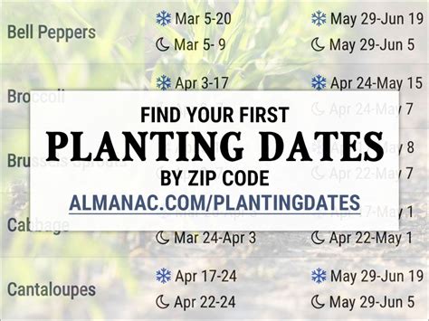 Zone 8b Gardening Calendar Diy Projects