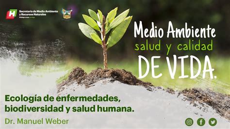 Ecología de enfermedades biodiversidad y salud humana YouTube