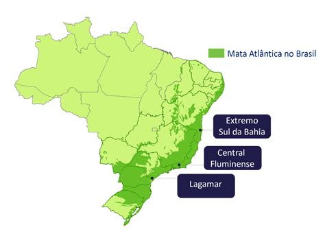 Mapa Da Mata Atlântica - Descubra 27 curiosidades sobre a Mata Atlântica » Turismo de Natureza