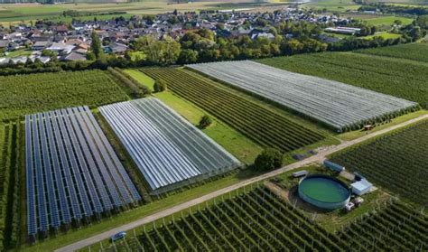 The Astonishing Green Growth That Could Save Our Planet