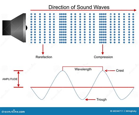 Sound Waves Propagation Illustration Stock Vector Illustration Of