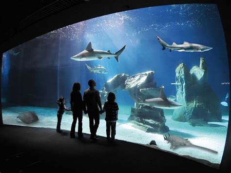 Acquario Tempo Vacanza