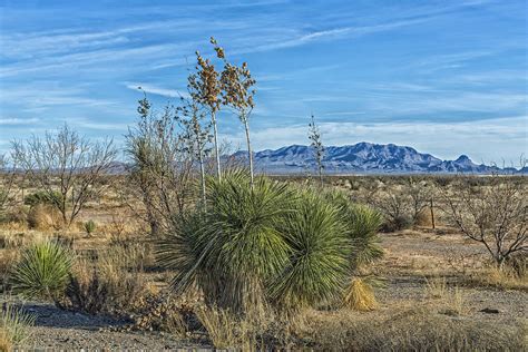 West Texas Desert Landscape by Mountain Dreams