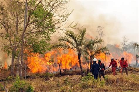 El Gobierno De Bolivia Declaró “desastre Nacional” Por Los Incendios Forestales En Cinco De Las