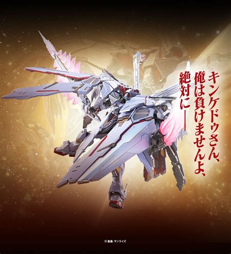 Metal Build クロスボーン・ガンダムx 0 フルクロス 機動戦士クロスボーン・ガンダム フィギュア・プラモデル・プラキット