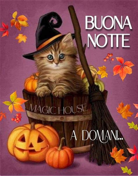 Pin Di Viera Su Immagini Auguri Di Buona Notte Notte Di Halloween