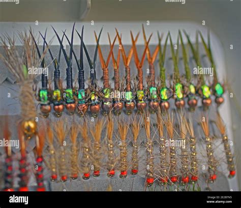 Fly Fishing Flies Stock Photo - Alamy