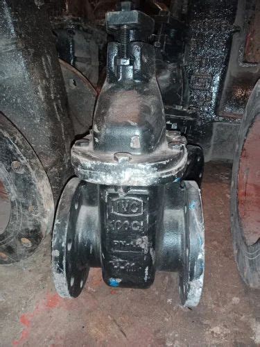 Sluice Gate Valve Ivc Make Sluice Valve Wholesale Trader From Delhi