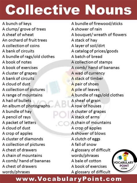 List Of Collective Nouns Collective Noun Examples Vocabulary Point