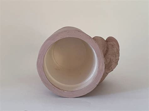 Ball Planter Nude Penis Pot Testicle Planter Succulent Eco Friendly Cup Pencil Pen Holder Etsy