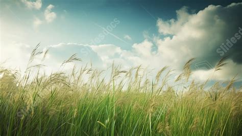 Meadow Spring Nature Outing Powerpoint Background For Free Download ...