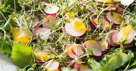 Cress Salad Recipes | Yummly