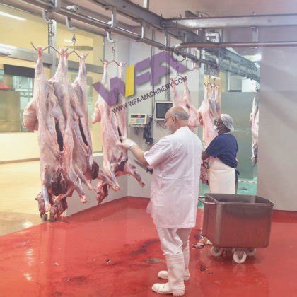 Sheep Lamb Abattoir Automatic Meat Processing Convey Rail Goat