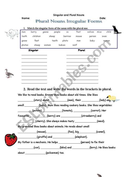 Plurals Esl Worksheet By Rumpel