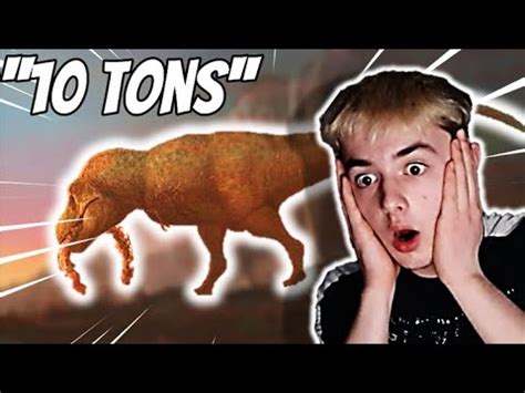 Top Biggest Carnivorous Dinosaurs Youtube