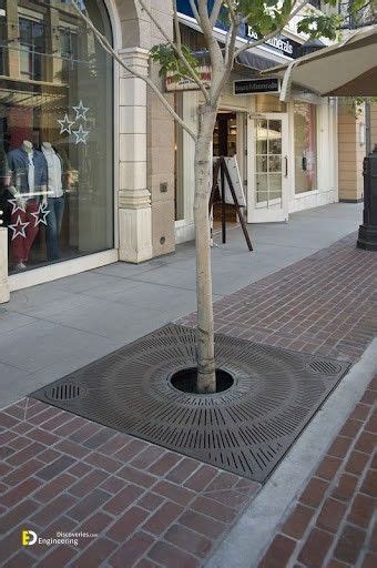 Modern Tree Grate Design Ideas For 2022 Engineering Discoveries