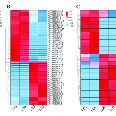 Differential Expression Levels Of 22 Conserved MiRNAs A 48 LncRNAs