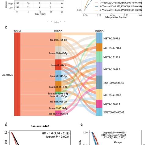 The Lncrna Mirna Mrna Cerna Networks Is Constructed A Survival