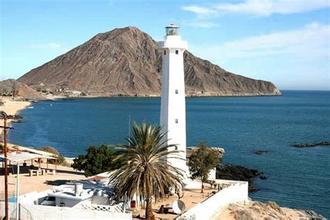 San Felipe Baja California Un Jardín En El Desierto El Souvenir