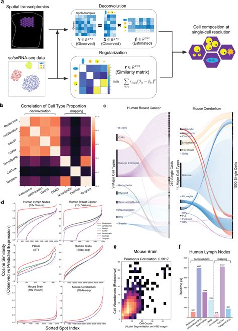 Spatial Transcriptomics Deconvolution At Single Cell Resolution Using