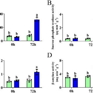 Changes In Enzyme Activities In Sucrose Metabolism Under Salt Stress