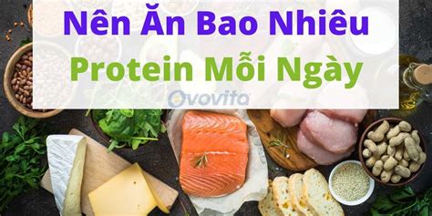 Protein chất đạm là gì vai trò của protein đối với cơ thể