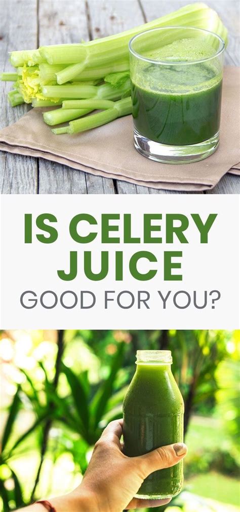 Celery Juice Benefits Truth Health Benefits