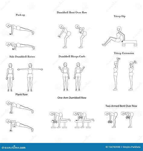 Esquema Del Ejemplo Del Ejercicio Del Entrenamiento Ilustración del