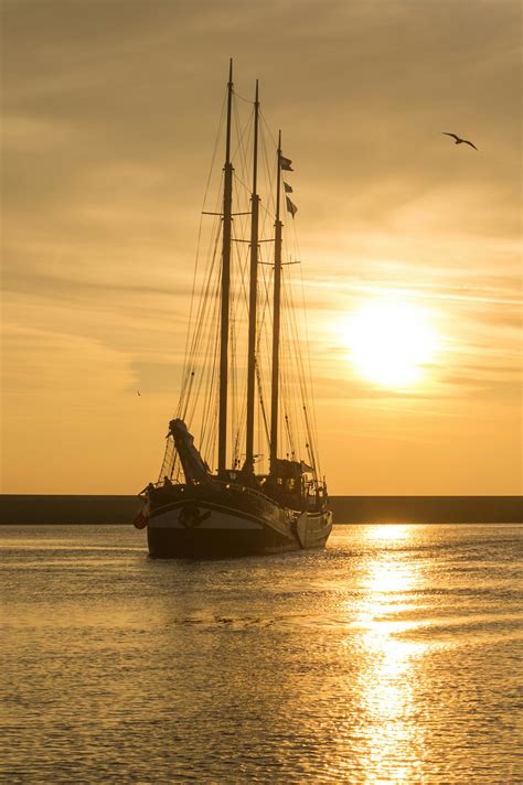 Sailboat On Body Of Water During Sunset · Free Stock Photo