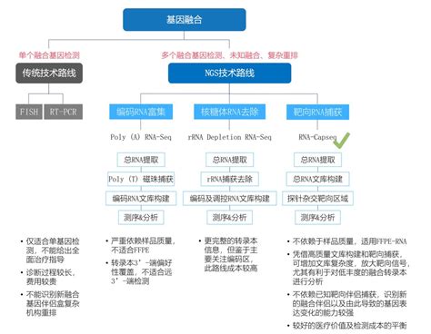 量身打造！rna Capseq更适合临床融合基因检测 经典文献分享凤凰网