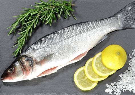 Product – Crazy Fish