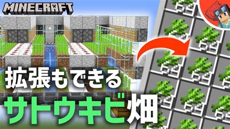 自動サトウキビ収穫機java マイクラ（minecraft）動画まとめ