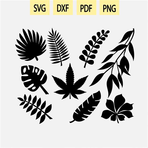 Feuilles Tropicales Bundle Svg Hemp Leaf Svg Banana Svg Etsy