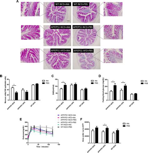 Akkermansia Muciniphila Ameliorated Glucose Homeostasis And Restored