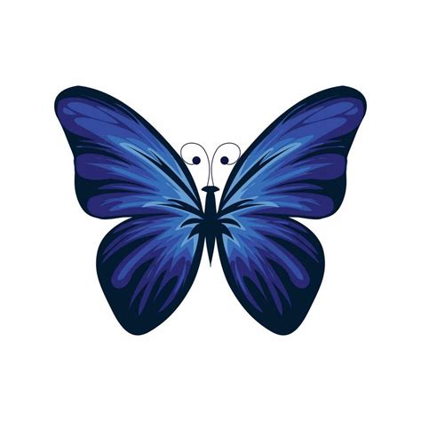 Butterfly vector silhouette 23797499 Vector Art at Vecteezy