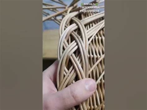 🌿Плетение пасхальной корзиночки из ивовых прутьев #плетение # ...