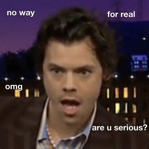 harry styles meme | Harry styles funny, Harry styles memes, Mood pics