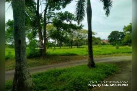 Msg Foreclosed Residential Lot In Caribe At The Islands Subd