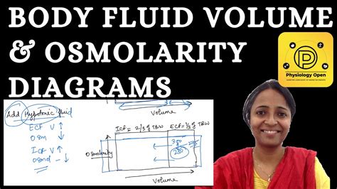 Body Fluid Compartments Osmolarity And Volume Diagrams General