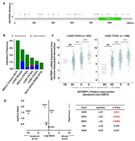 Mutation and copy number alterations (CNAs) of ATP/GTP binding protein ...