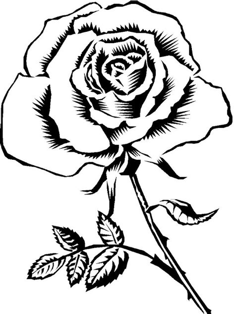 Ideas Para Imagenes De Rosas Para Dibujar En Blanco Y Negro