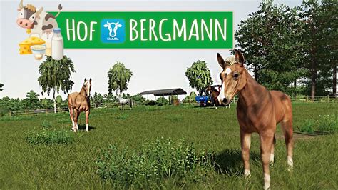 Ls Hof Bergmann Pferde Und Fohlen Auf Der Weide Farming