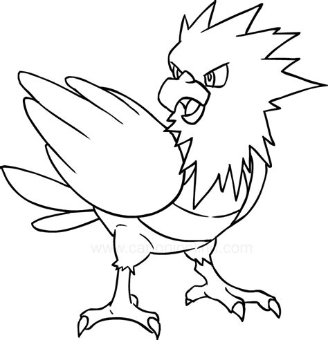 Desenho De Spearow Dos Pokemon Para Colorir