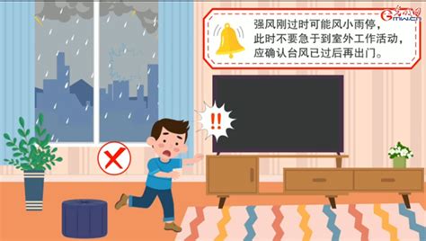 【应急科普】动画丨台风暴雨来临前后如何应对？这份防御指南教你安全避险新闻频道中国青年网