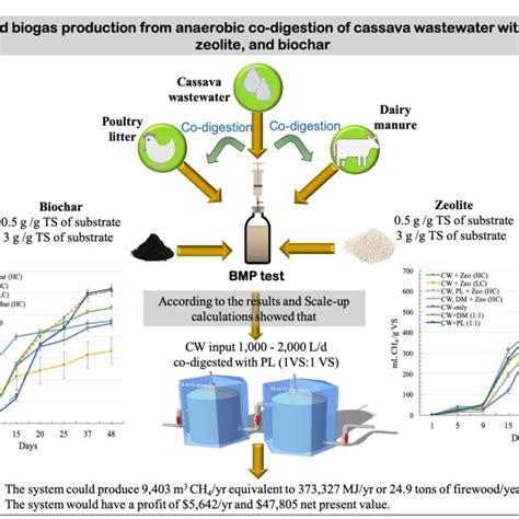 Pdf Enhanced Biogas Production Of Cassava Wastewater Using Zeolite