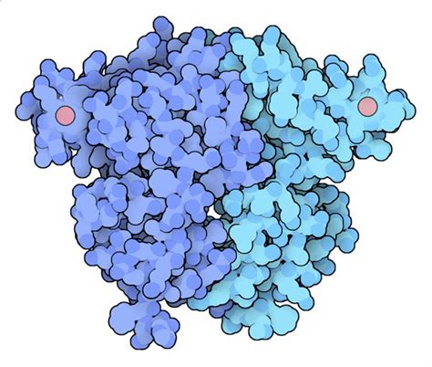 PDB-101: Learn: Structural Biology Highlights: CBS Domain Protein TA0289