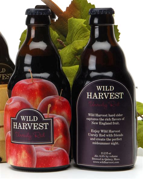 Wild Harvest Apple Cider Jacklin Hordes Design