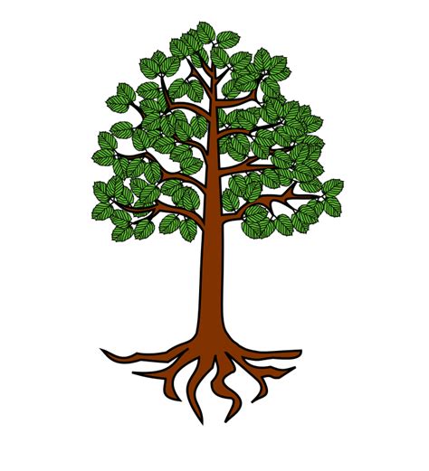 Tree Root Trunk Clip art - root png download - 698*768 - Free ...