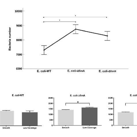 Effect Of Fimbriae On Adhesion For All Tested E Coli Strains A Download Scientific Diagram